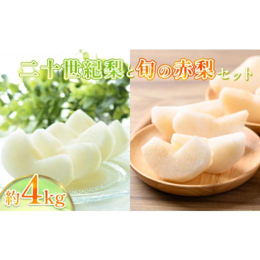 ふるさと納税 梨 鳥取県 岩美町 2026・先行予約 二十世紀梨と旬の赤梨セット 4kg|鳥取 果物 くだもの フルーツ なし 梨 和梨 旬 二十世紀梨 赤梨 品種はおま…