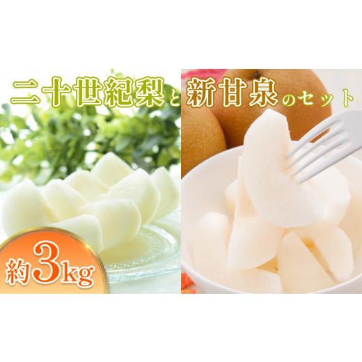 ふるさと納税 梨 鳥取県 岩美町 2026・先行予約 二十世紀梨と新甘泉セット 3kg|鳥取 果物 くだもの フルーツ なし 梨 和梨 旬 二十世紀梨 新甘泉 数量限定 2…