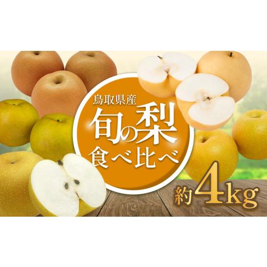 ふるさと納税 梨 鳥取県 岩美町 2026・先行予約 品種はおまかせ 旬の梨ミックス 4kg|鳥取 果物 くだもの フルーツ なし 梨 旬 和梨 二十世紀梨 新甘泉 秋甘…
