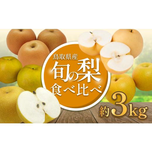 ふるさと納税 梨 鳥取県 岩美町 2026・先行予約 品種はおまかせ2種類 旬の梨ミックス 3kg|鳥取 果物 くだもの フルーツ なし 梨 旬 和梨 二十世紀梨 新甘泉 …