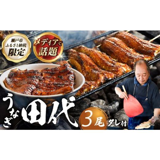 ふるさと納税 うなぎ 愛知県 瀬戸市 2026年5月発送 炭火焼き 国産うなぎ 蒲焼 3尾 / ウナギ 鰻 蒲焼 炭火 かば焼き / 瀬戸市 / うなぎ田代 BBCA003-5 BBCA…