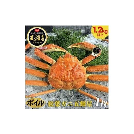 ふるさと納税 カニ 松葉ガニ 鳥取県 北栄町 ボイル 鳥取ブランド 松葉ガニ『五輝星』 2025年11月上旬〜2026年3月下旬頃に順次発送予定 着日指定不可 ボイル …