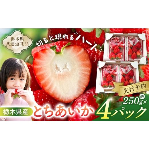 ふるさと納税 いちご 栃木県 那須塩原市 先行受付 栃木県産 とちあいか約250g×4パック 栃木県共通返礼品 2027年1月下旬〜発送予定 ns120-001 果物 いち…