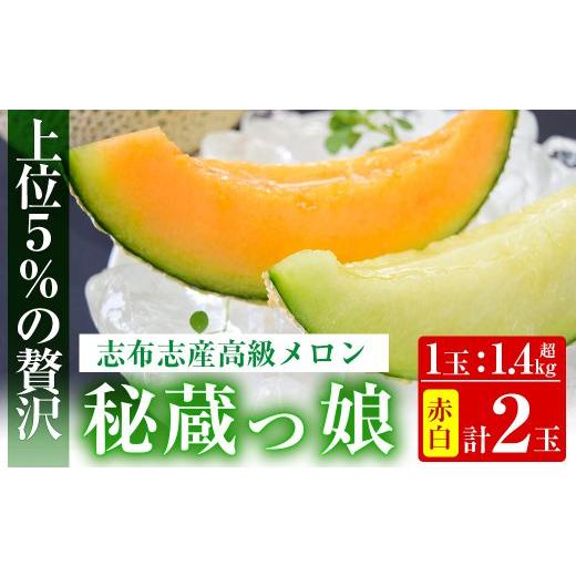 ふるさと納税 メロン メロン赤肉 鹿児島県 志布志市 冬限定 極上メロン「秘蔵っ娘」赤玉・白玉 計2個(赤肉・青肉 各1個) メロン マスクメロン 果物 くだもの …