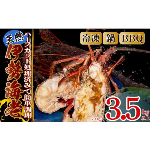 ふるさと納税 エビ 伊勢エビ 高知県 須崎市 ハーフカット 伊勢海老 加熱用 3匹 1.5kg以上 半割り 大容量 メガ盛り エビ いせえび 人気伊勢海老 テルミドール …