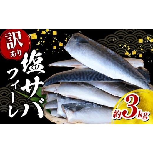 ふるさと納税 旬の鮮魚等 千葉県 旭市 塩 サバ フィーレ 訳あり 約 3kg さば サバ 鯖 saba 塩サバ 塩さば 塩鯖 フィレ 国産 人気 ボリューム 魚介 冷凍 訳有り…