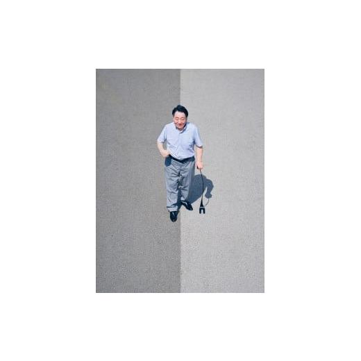 ふるさと納税 福祉・バリアフリー用品 愛知県 大府市 パラケイン_スパイラルモデル_左持ち Lサイズ 左持ち Lサイズ