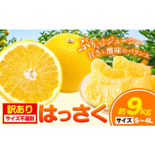 ふるさと納税 みかん・柑橘類 和歌山県 岩出市 訳あり/ご家庭用 はっさく 約9kg (4L~Sサイズ サイズ不選別) 早生・晩生指定不可[2月上旬-4月中旬頃出荷]和…