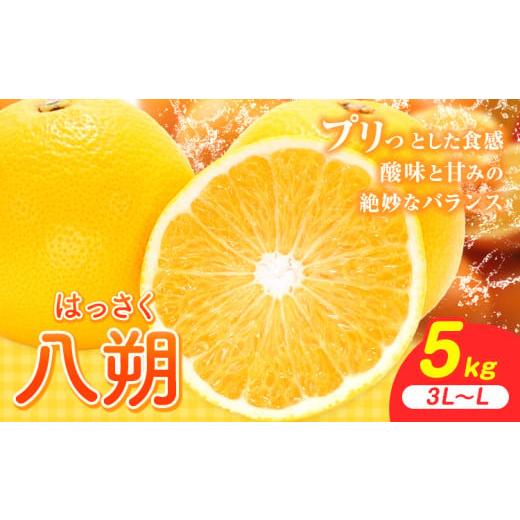 ふるさと納税 みかん・柑橘類 和歌山県 岩出市 八朔 5kg(3L〜L)JAわかやま 紀の里地域本部[1月上旬-4月中旬に出荷予定(土日祝除く)]和歌山県 岩出市 産地…