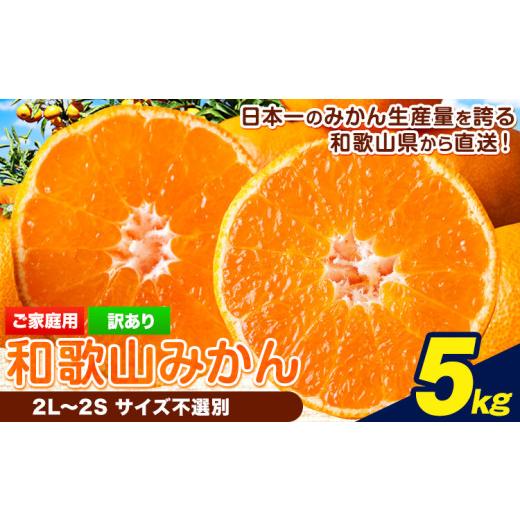 ふるさと納税 果物類 みかん 和歌山県 岩出市 和歌山みかん 約5kg 和歌山県産 [2026年11月中旬-2027年1月中旬頃出荷(土日祝除く)]たっぷり ご家庭用 2L〜2S …