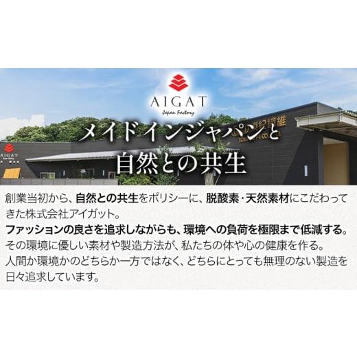 ふるさと納税 服 男 和歌山県 岩出市  New Negoro-Komon ハーフジップスウェット ブラウン Lサイズ 株式会社アイガット《30日以内に出荷予定(土日祝除く)》和…の画像