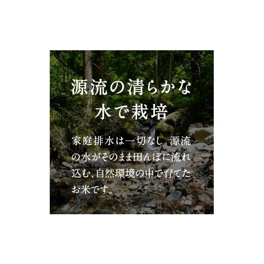 ふるさと納税 米 コシヒカリ 鳥取県 日南町 令和8年産 新米 先行予約 鳥取県日南町産コシヒカリ 定期便 5kg×6か月(合計30kg) 新屋のひとしずく 〜野組450〜 …の画像