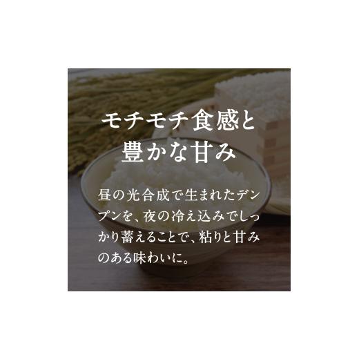 ふるさと納税 米 コシヒカリ 鳥取県 日南町 令和8年産 新米 先行予約 鳥取県日南町産コシヒカリ 定期便 5kg×6か月(合計30kg) 新屋のひとしずく 〜野組450〜 …の画像