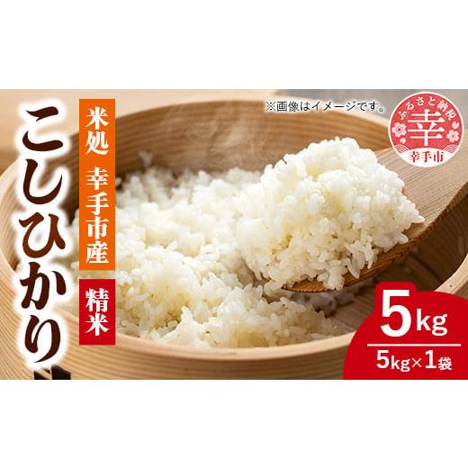ふるさと納税 米 コシヒカリ 埼玉県 幸手市 令和7年幸手産 こしひかり