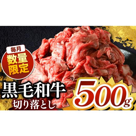 ふるさと納税 牛肉 カレー・シチュー 栃木県 真岡市 訳あり 栃木県産 黒毛和牛 切り落とし 500g | 黒毛和牛 牛 肉 にく お肉 真岡市 栃木県 送料無料 黒毛和…