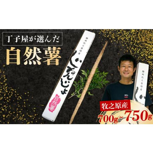 ふるさと納税 人参・大根・他根菜 静岡県 牧之原市 R7年12月上旬からの発送 丁子屋が選んだ 自然薯 台地のご馳走 700g ~ 750g 新鮮 健康 長寿 とろろ 静岡県 …