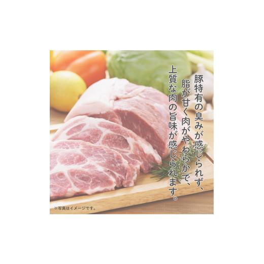 PETOKOTO FRESH DOG FOOD ポーク 150g ペトコトフーズ ペトコトフーズ ポーク 150g 23袋 PETOKOTO FRESH DOG FOOD ポーク