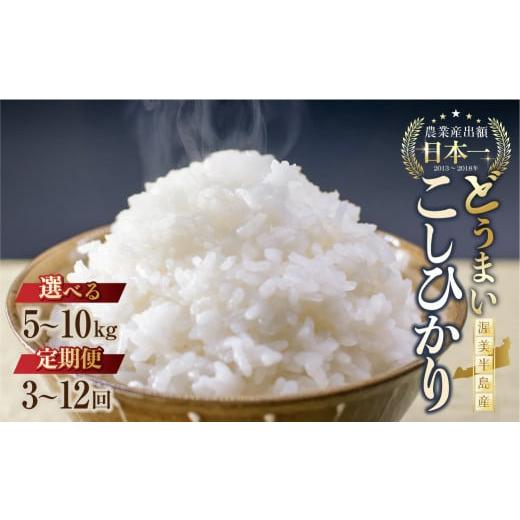ふるさと納税 米 コシヒカリ 愛知県 田原市 10kg :3か月定期便 [令和8年産 新米] こしひかり 5kg 10kg 定期便 選べる お米 おこめ 米 コメ ごはん コシヒ…