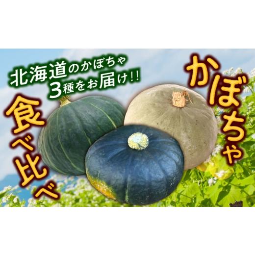ふるさと納税 人参・大根・他根菜 北海道 足寄町 先行予約 北海道 かぼちゃ 訳あり ダークホース・とっておき・特濃こふき 3種類×2個 9月中旬以降発送 足寄…_2