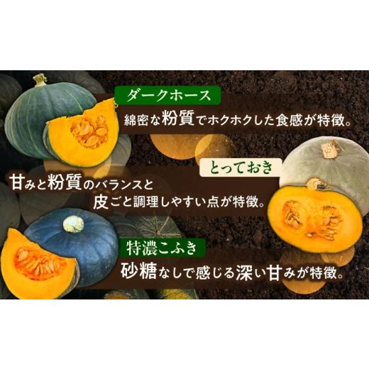 ふるさと納税 人参・大根・他根菜 北海道 足寄町 先行予約 北海道 かぼちゃ 訳あり ダークホース・とっておき・特濃こふき 3種類×2個 9月中旬以降発送 足寄…_3
