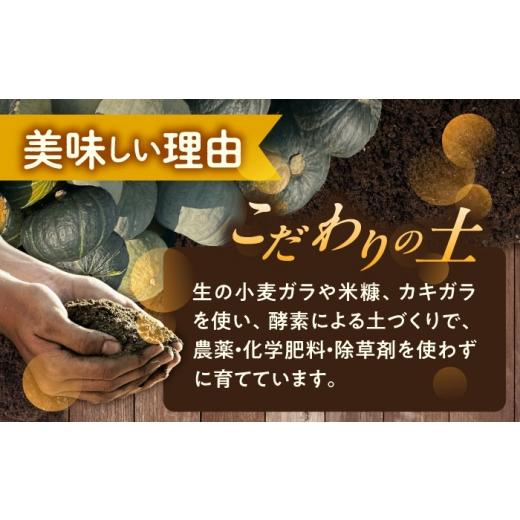 ふるさと納税 人参・大根・他根菜 北海道 足寄町 先行予約 北海道 かぼちゃ 訳あり ダークホース・とっておき・特濃こふき 3種類×2個 9月中旬以降発送 足寄…_4