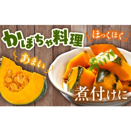 ふるさと納税 人参・大根・他根菜 北海道 足寄町 先行予約 北海道 かぼちゃ 訳あり ダークホース・とっておき・特濃こふき 3種類×2個 9月中旬以降発送 足寄…_5