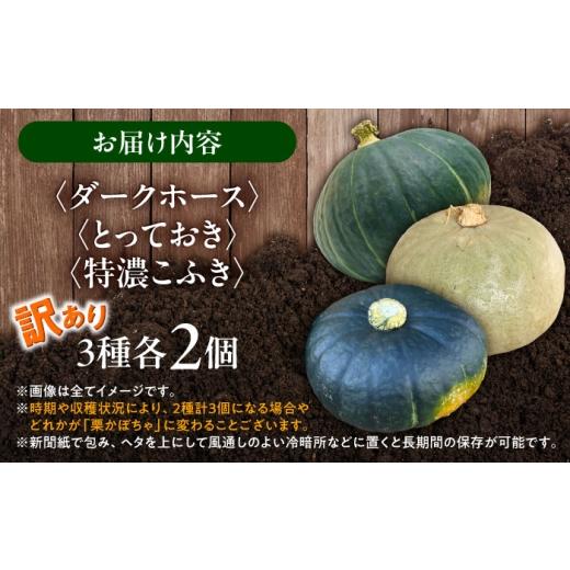 ふるさと納税 人参・大根・他根菜 北海道 足寄町 先行予約 北海道 かぼちゃ 訳あり ダークホース・とっておき・特濃こふき 3種類×2個 9月中旬以降発送 足寄…_7
