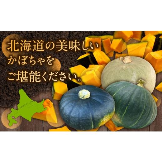 ふるさと納税 人参・大根・他根菜 北海道 足寄町 先行予約 北海道 かぼちゃ 訳あり ダークホース・とっておき・特濃こふき 3種類×2個 9月中旬以降発送 足寄…_8