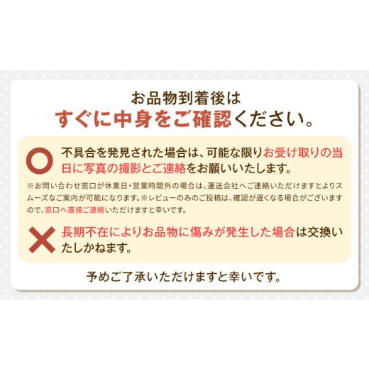 ふるさと納税 人参・大根・他根菜 北海道 足寄町 先行予約 北海道 かぼちゃ 訳あり ダークホース・とっておき・特濃こふき 3種類×2個 9月中旬以降発送 足寄…_9