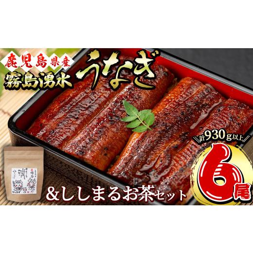 ふるさと納税 惣菜・レトルト 鹿児島県 志布志市 霧島湧水鰻6尾＆ししまるお茶セット 霧島湧水鰻(156g以上×6尾)＆緑茶ティーバッグ(3g×6個) 鹿児島県産 うな…_1