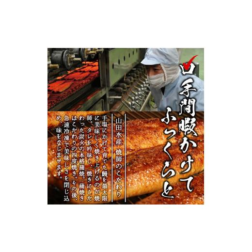 ふるさと納税 惣菜・レトルト 鹿児島県 志布志市 霧島湧水鰻6尾＆ししまるお茶セット 霧島湧水鰻(156g以上×6尾)＆緑茶ティーバッグ(3g×6個) 鹿児島県産 うな…_2