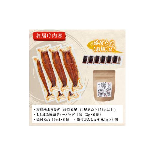ふるさと納税 惣菜・レトルト 鹿児島県 志布志市 霧島湧水鰻6尾＆ししまるお茶セット 霧島湧水鰻(156g以上×6尾)＆緑茶ティーバッグ(3g×6個) 鹿児島県産 うな…_4