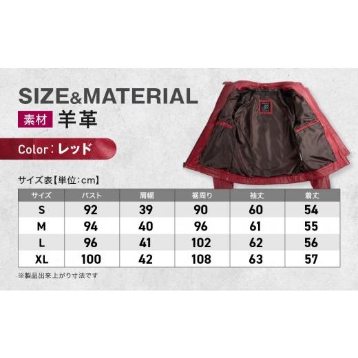 ふるさと納税 アウトドアグッズ ウェア 京都府 京都市  デグナー レディースレザージャケット FR20SJ-9 レッド Lサイズ｜バイク バイクギア バイク用品 バイク…_5