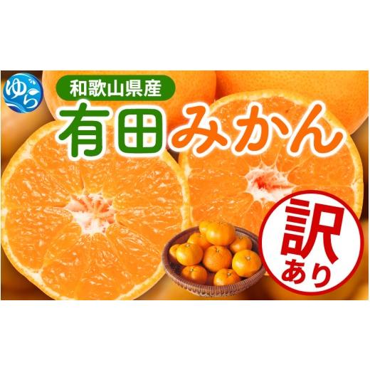 ふるさと納税 果物類 みかん 和歌山県 由良町 家庭用 有田 みかん サイズ混合(2S〜2L) 1kg+250g 11月発送(完熟) / 温州みかん 有田みかん 訳あり 甘い 光セン…