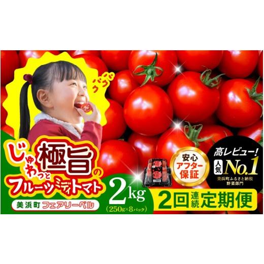 ふるさと納税 野菜類 トマト 福井県 美浜町 定期便 2ヶ月連続お届け じゅわっと極旨のフルーツミディトマト 約1kg ×２箱 とまと トマト フルーツトマト ミニ…_1