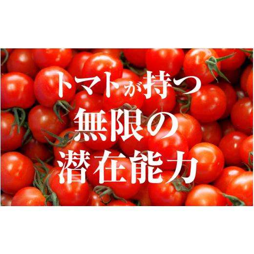 ふるさと納税 野菜類 トマト 福井県 美浜町 定期便 2ヶ月連続お届け じゅわっと極旨のフルーツミディトマト 約1kg ×２箱 とまと トマト フルーツトマト ミニ…_2