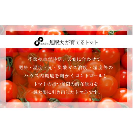 ふるさと納税 野菜類 トマト 福井県 美浜町 定期便 2ヶ月連続お届け じゅわっと極旨のフルーツミディトマト 約1kg ×２箱 とまと トマト フルーツトマト ミニ…_3