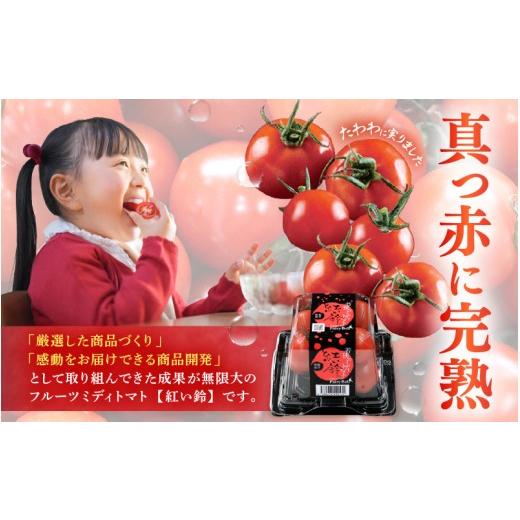 ふるさと納税 野菜類 トマト 福井県 美浜町 定期便 2ヶ月連続お届け じゅわっと極旨のフルーツミディトマト 約1kg ×２箱 とまと トマト フルーツトマト ミニ…_4