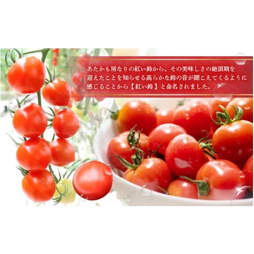 ふるさと納税 野菜類 トマト 福井県 美浜町 定期便 2ヶ月連続お届け じゅわっと極旨のフルーツミディトマト 約1kg ×２箱 とまと トマト フルーツトマト ミニ…_5