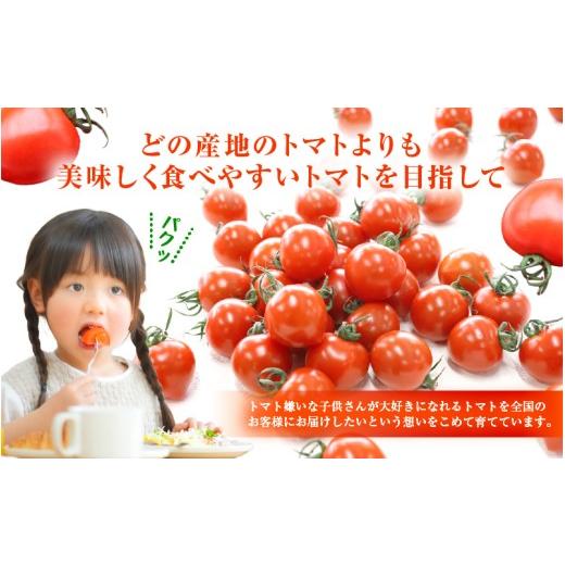 ふるさと納税 野菜類 トマト 福井県 美浜町 定期便 2ヶ月連続お届け じゅわっと極旨のフルーツミディトマト 約1kg ×２箱 とまと トマト フルーツトマト ミニ…_6