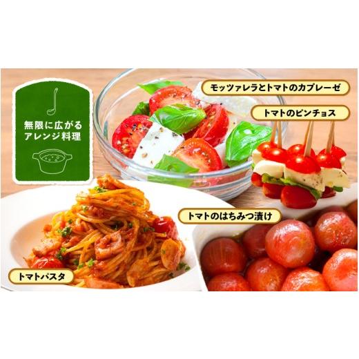 ふるさと納税 野菜類 トマト 福井県 美浜町 定期便 2ヶ月連続お届け じゅわっと極旨のフルーツミディトマト 約1kg ×２箱 とまと トマト フルーツトマト ミニ…_7