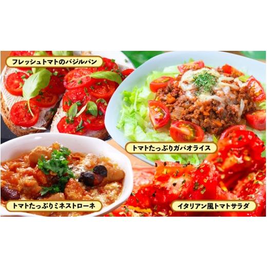 ふるさと納税 野菜類 トマト 福井県 美浜町 定期便 2ヶ月連続お届け じゅわっと極旨のフルーツミディトマト 約1kg ×２箱 とまと トマト フルーツトマト ミニ…_8