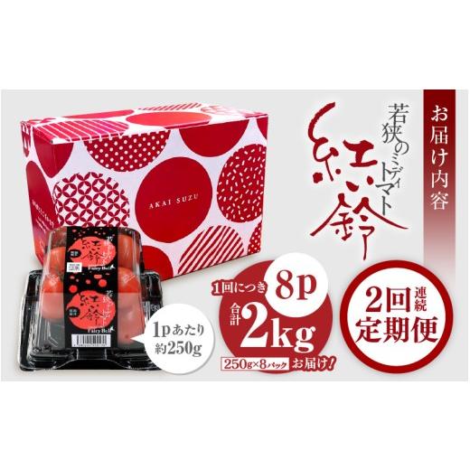 ふるさと納税 野菜類 トマト 福井県 美浜町 定期便 2ヶ月連続お届け じゅわっと極旨のフルーツミディトマト 約1kg ×２箱 とまと トマト フルーツトマト ミニ…_9