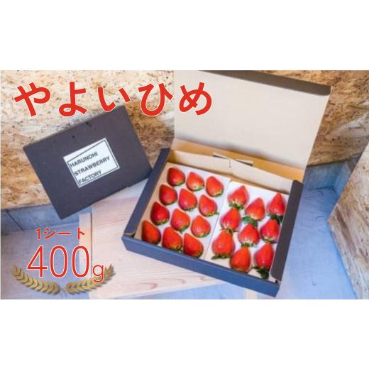 ふるさと納税 いちご 群馬県 前橋市 2026年 先行予約 大粒完熟 群馬県産いちご「やよいひめ」400g×1 |朝採れ やみつき高品質 たっぷり 贈答用 新鮮 完熟 い…