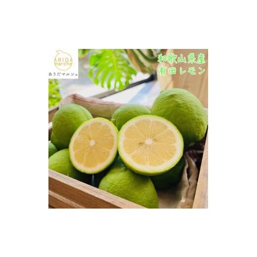 ふるさと納税 みかん・柑橘類 レモン 和歌山県 美浜町 先行予約 国産 農家直送 有田レモン 3kg 北海道・沖縄・離島への配送不可 2025年9月下旬〜2026年3月下…