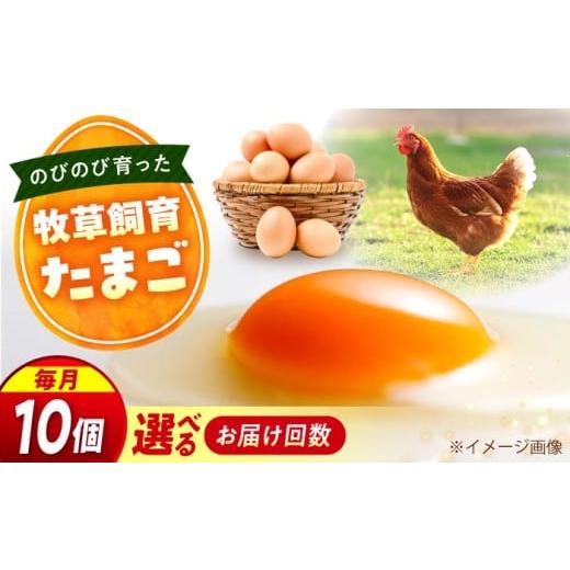 ふるさと納税 卵(鶏、烏骨鶏等) 広島県 福山市 天心山 たまご 10個 回数が選べる定期便 全12回定期便 卵 たまご 高級 食品 たまごかけご飯 卵かけご飯 卵焼…
