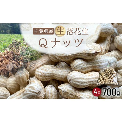 ふるさと納税 豆類 落花生 千葉県 山武市 先行受付・11月上旬より順次発送 Qナッツ 生落花生 700g