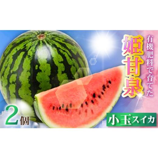 ふるさと納税 スイカ 神奈川県 三浦市 有機肥料で育てた小玉スイカ 姫甘泉 (2個入り)