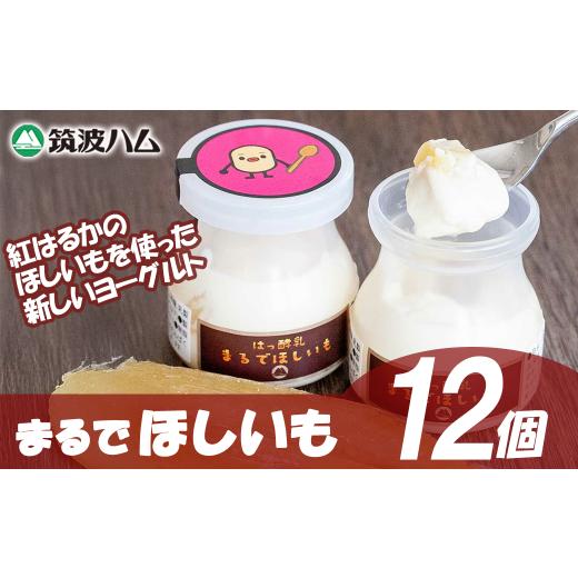ふるさと納税 菓子 ヨーグルト 茨城県 つくば市 まるでほしいも 3個 × 4箱 │ ヨーグルト 干し芋 ほしいも ほし芋 紅はるか さつまいも 筑波ハム 茨城県 つく…