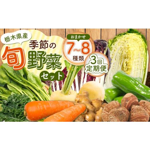 ふるさと納税 セット・詰合せ 栃木県 下野市 定期便3回 季節の旬野菜おまかせセット 7〜8品目 | 定期便 農薬不使用 化学肥料不使用 珍しい 栃木県 下野市 定…